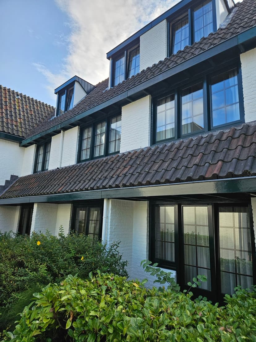 Onderhoud schilderwerk met steiger